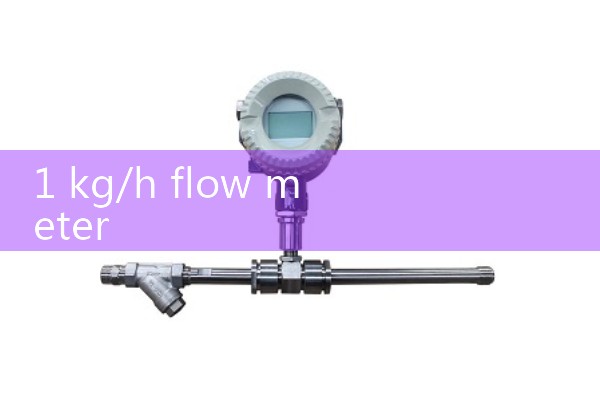 1 kg/h flow meter